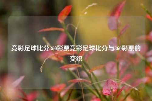 竞彩足球比分360彩票竞彩足球比分与360彩票的交织