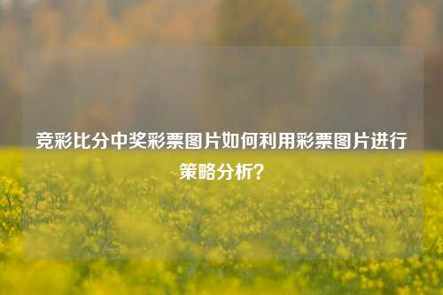 竞彩比分中奖彩票图片如何利用彩票图片进行策略分析？