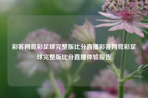 彩客网竞彩足球完整版比分直播彩客网竞彩足球完整版比分直播体验报告