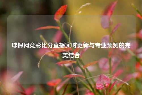 球探网竞彩比分直播实时更新与专业预测的完美结合