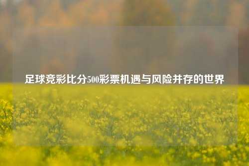 足球竞彩比分500彩票机遇与风险并存的世界