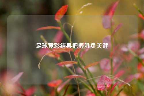 足球竞彩结果把握胜负关键