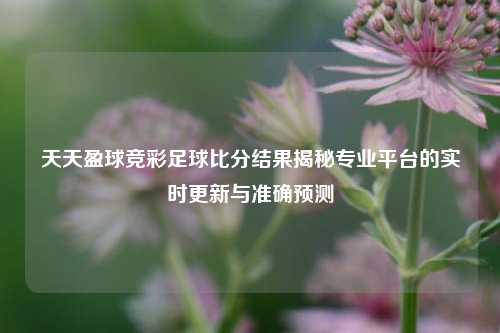 天天盈球竞彩足球比分结果揭秘专业平台的实时更新与准确预测