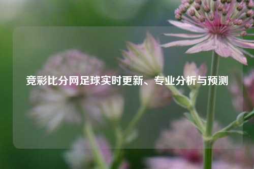 竞彩比分网足球实时更新、专业分析与预测