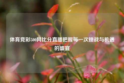 体育竞彩500网比分直播把握每一次挑战与机遇的盛宴