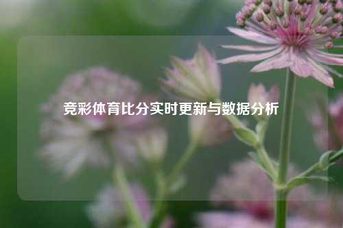 竞彩体育比分实时更新与数据分析