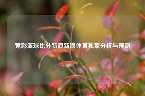 竞彩篮球比分新浪新浪体育独家分析与预测