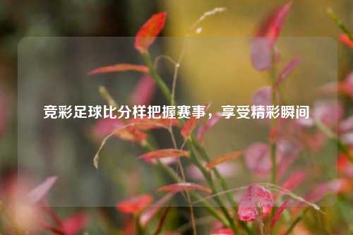 竞彩足球比分样把握赛事，享受精彩瞬间