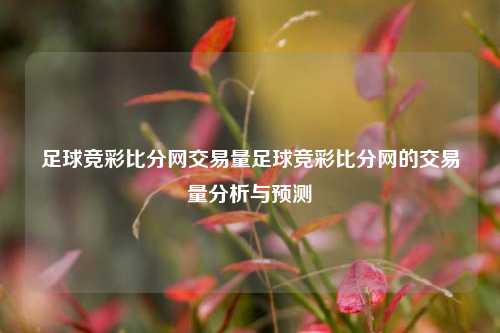 足球竞彩比分网交易量足球竞彩比分网的交易量分析与预测