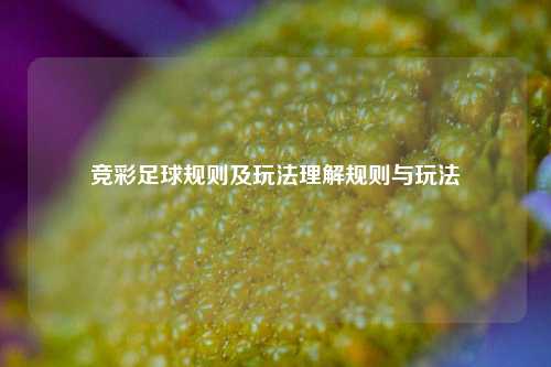竞彩足球规则及玩法理解规则与玩法