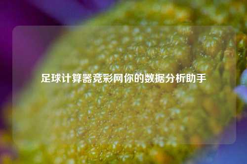 足球计算器竞彩网你的数据分析助手