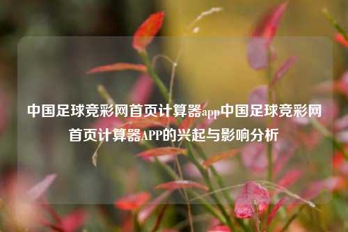 中国足球竞彩网首页计算器app中国足球竞彩网首页计算器APP的兴起与影响分析