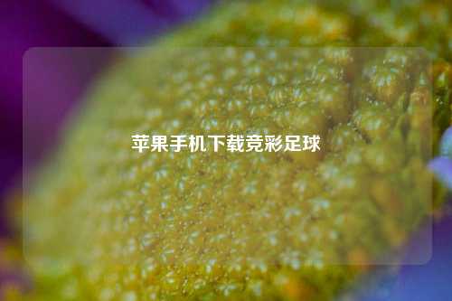 苹果手机下载竞彩足球