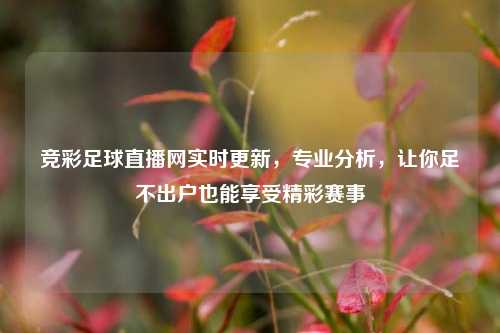竞彩足球直播网实时更新，专业分析，让你足不出户也能享受精彩赛事