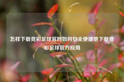 怎样下载竞彩足球官网如何安全便捷地下载竞彩足球官方应用