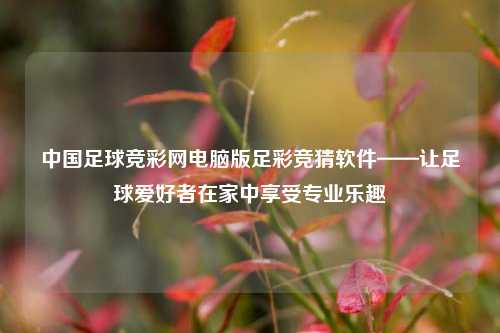 中国足球竞彩网电脑版足彩竞猜软件——让足球爱好者在家中享受专业乐趣