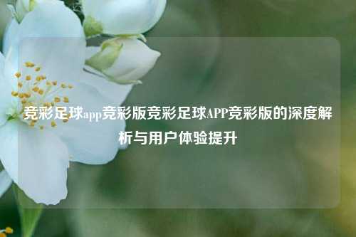 竞彩足球app竞彩版竞彩足球APP竞彩版的深度解析与用户体验提升