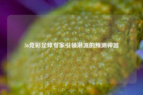 36竞彩足球专家引领潮流的预测神器