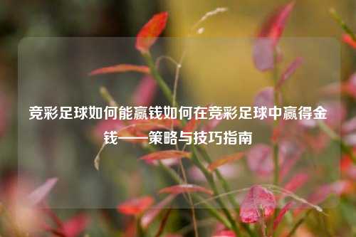竞彩足球如何能赢钱如何在竞彩足球中赢得金钱——策略与技巧指南