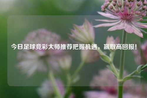 今日足球竞彩大师推荐把握机遇，赢取高回报！
