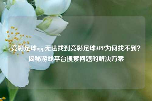 竞彩足球app无法找到竞彩足球APP为何找不到？揭秘游戏平台搜索问题的解决方案