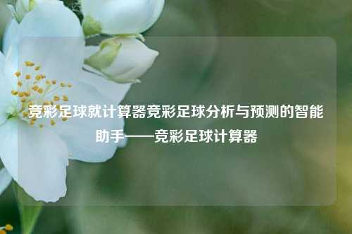 竞彩足球就计算器竞彩足球分析与预测的智能助手——竞彩足球计算器