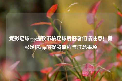竞彩足球app提款审核足球爱好者们请注意！竞彩足球app的提款流程与注意事项