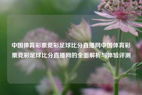 中国体育彩票竞彩足球比分直播网中国体育彩票竞彩足球比分直播网的全面解析与体验评测