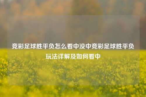 竞彩足球胜平负怎么看中没中竞彩足球胜平负玩法详解及如何看中
