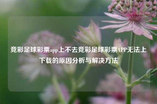 竞彩足球彩票app上不去竞彩足球彩票APP无法上下载的原因分析与解决方法