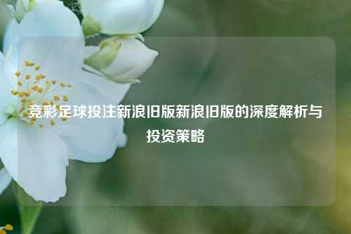 竞彩足球投注新浪旧版新浪旧版的深度解析与投资策略