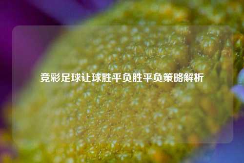 竞彩足球让球胜平负胜平负策略解析