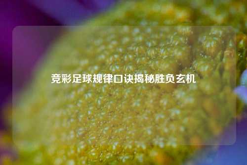 竞彩足球规律口诀揭秘胜负玄机