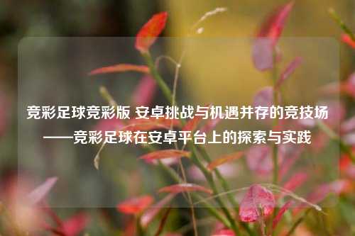 竞彩足球竞彩版 安卓挑战与机遇并存的竞技场——竞彩足球在安卓平台上的探索与实践