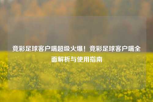 竞彩足球客户端超级火爆！竞彩足球客户端全面解析与使用指南