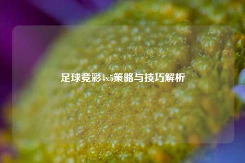 足球竞彩4x5策略与技巧解析