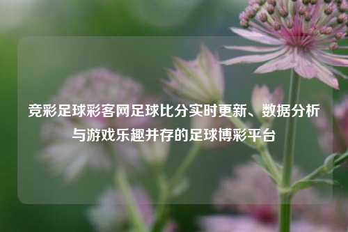 竞彩足球彩客网足球比分实时更新、数据分析与游戏乐趣并存的足球博彩平台