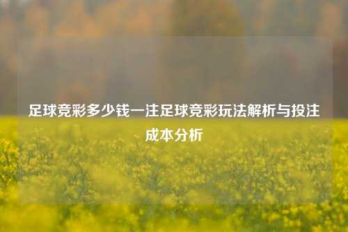 足球竞彩多少钱一注足球竞彩玩法解析与投注成本分析