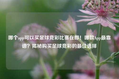 哪个app可以买足球竞彩比赛在即！哪款App最靠谱？揭秘购买足球竞彩的最佳选择