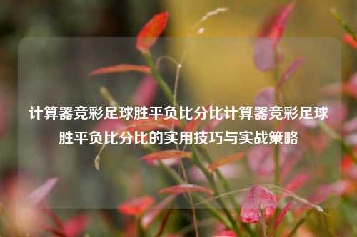 计算器竞彩足球胜平负比分比计算器竞彩足球胜平负比分比的实用技巧与实战策略