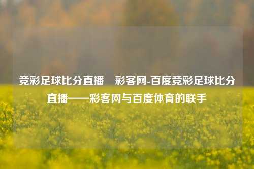 竞彩足球比分直播–彩客网-百度竞彩足球比分直播——彩客网与百度体育的联手