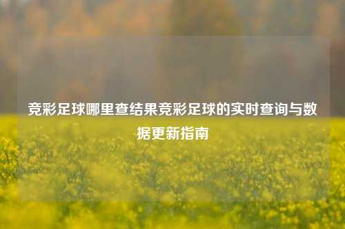 竞彩足球哪里查结果竞彩足球的实时查询与数据更新指南