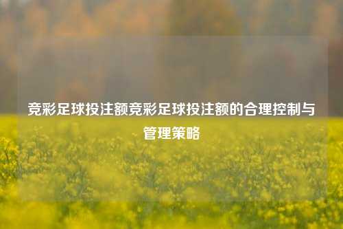 竞彩足球投注额竞彩足球投注额的合理控制与管理策略