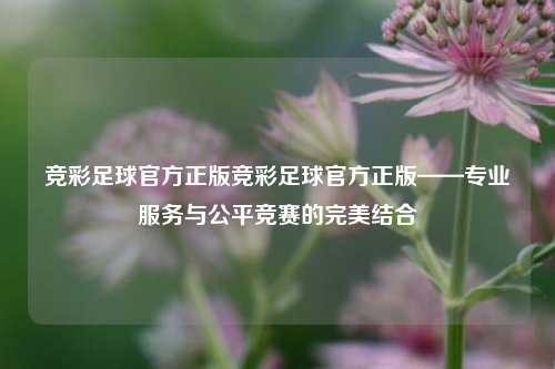 竞彩足球官方正版竞彩足球官方正版——专业服务与公平竞赛的完美结合
