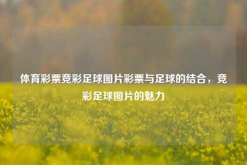 体育彩票竞彩足球图片彩票与足球的结合，竞彩足球图片的魅力