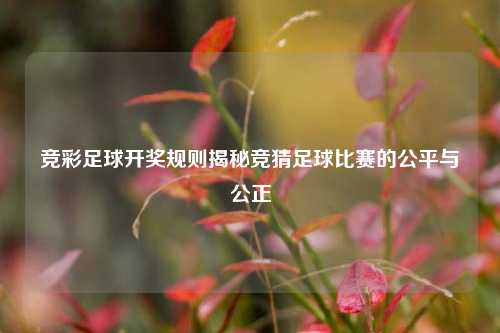 竞彩足球开奖规则揭秘竞猜足球比赛的公平与公正