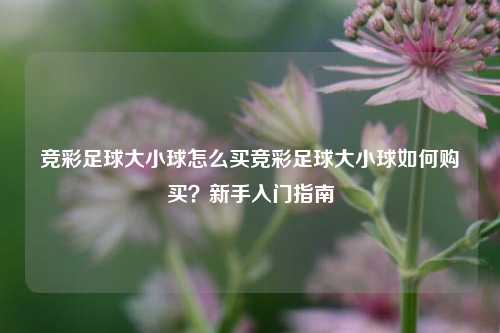 竞彩足球大小球怎么买竞彩足球大小球如何购买？新手入门指南