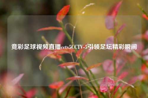 竞彩足球视频直播cctv5CCTV-5引领足坛精彩瞬间