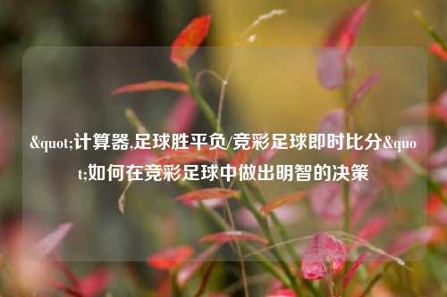 "计算器,足球胜平负/竞彩足球即时比分"如何在竞彩足球中做出明智的决策