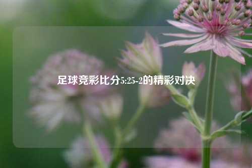 足球竞彩比分5:25-2的精彩对决